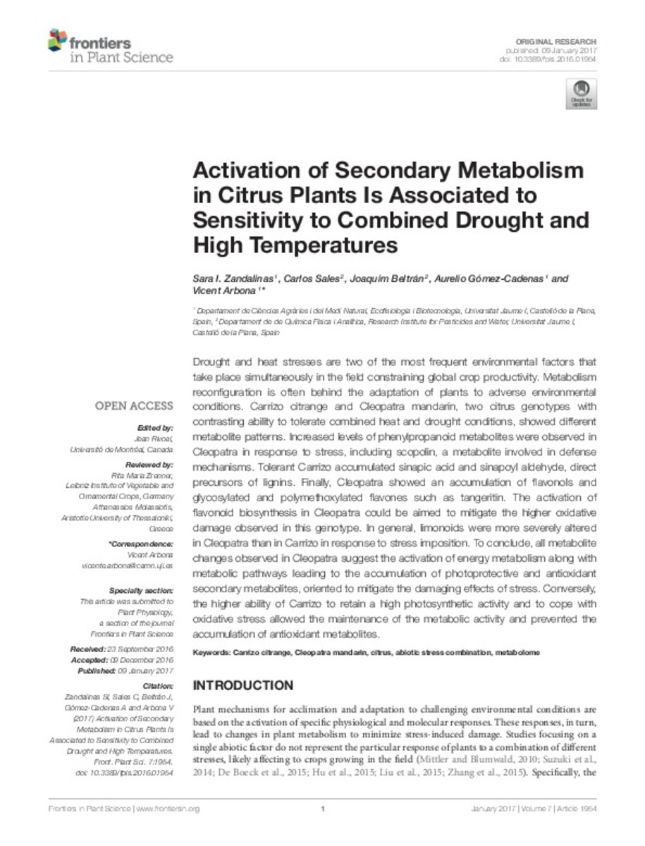 Activation of Secondary in Citrus Plants Is Associated Sensitivity to Combined Drought and High Temperatures
